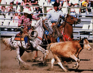 http://the-backpackers-ranch.cowblog.fr/images/Western/roping.jpg